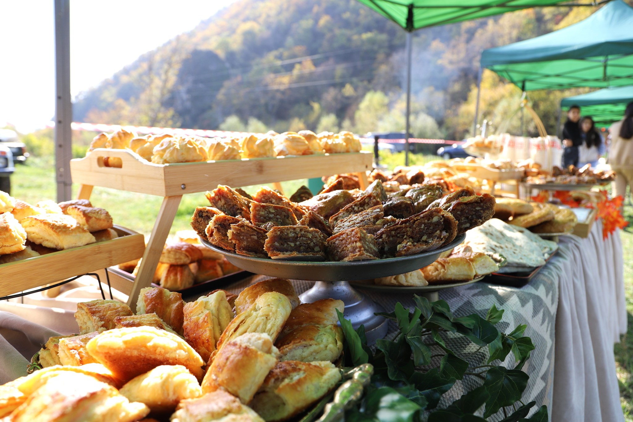 577040435_832911809279603_8171097121420462827_n