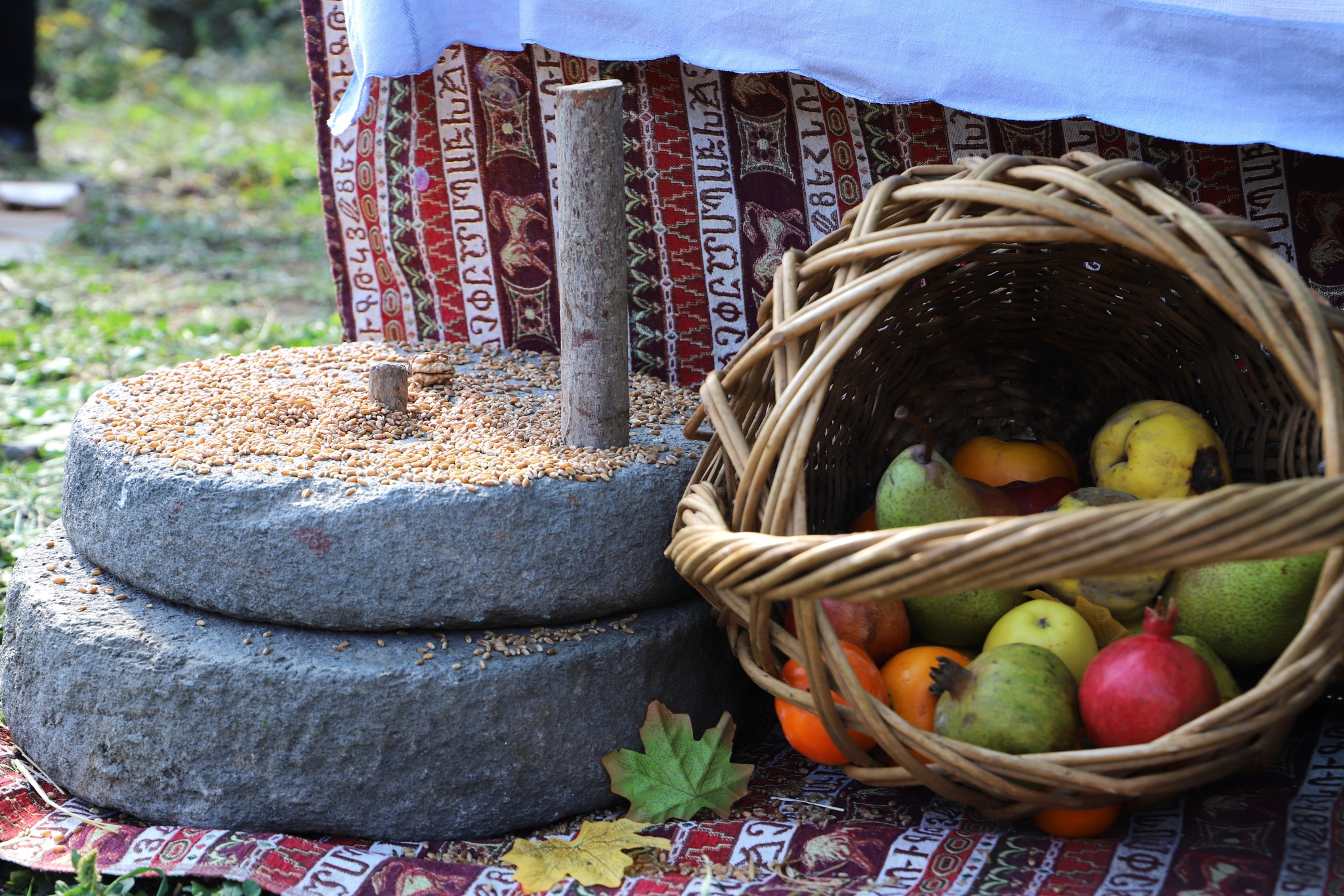 579224700_832911922612925_1885017441801101175_n